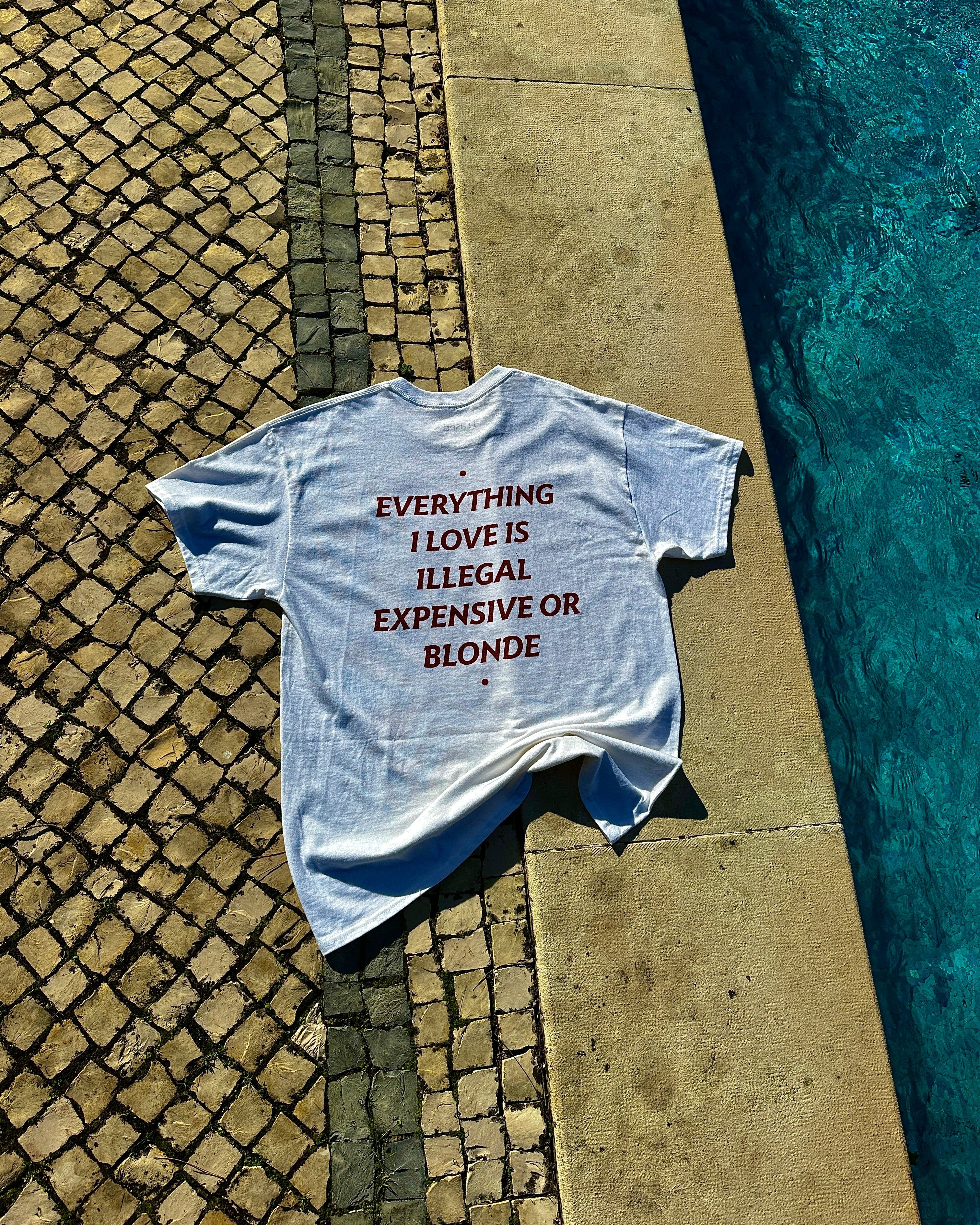 EVERYTHING I LOVE IS ILLEGAL, EXPENSIVE OR BLONDE - Image 10