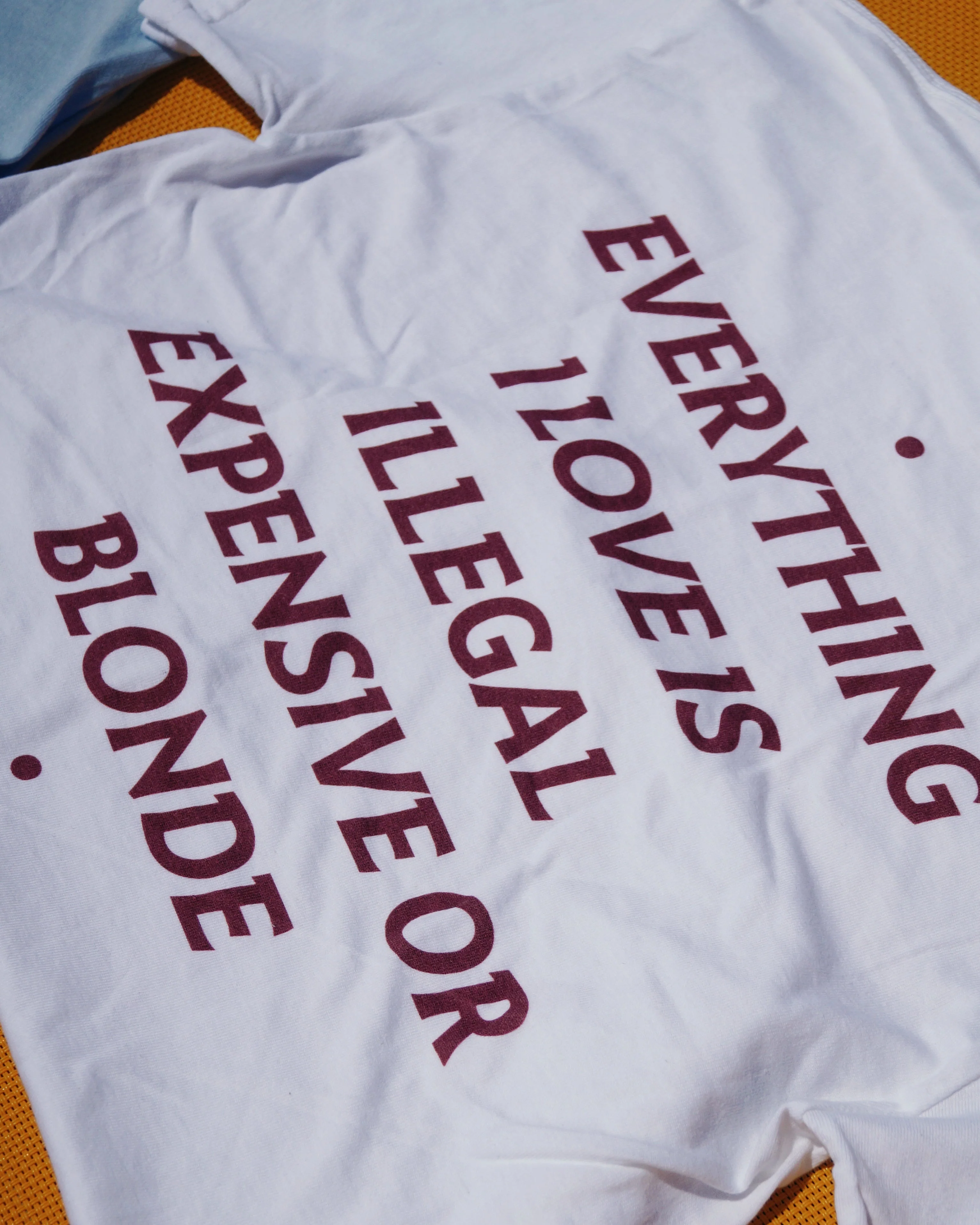 EVERYTHING I LOVE IS ILLEGAL, EXPENSIVE OR BLONDE - Image 11