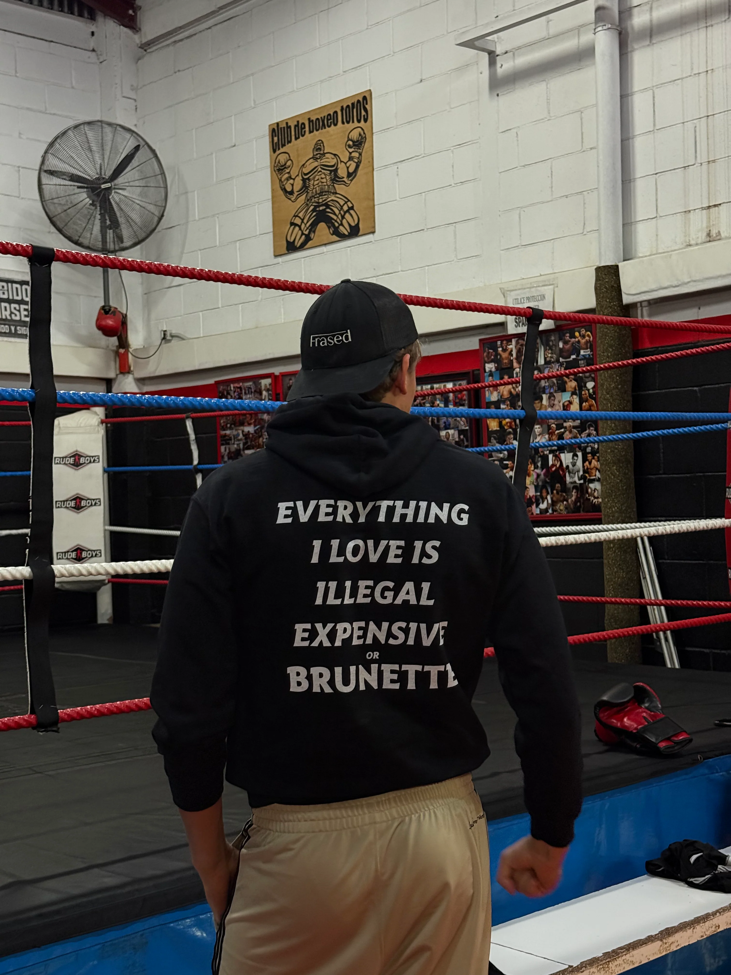 EVERYTHING I LOVE IS ILLEGAL EXPENSIVE OR BRUNETTE - HOODIE - Image 3