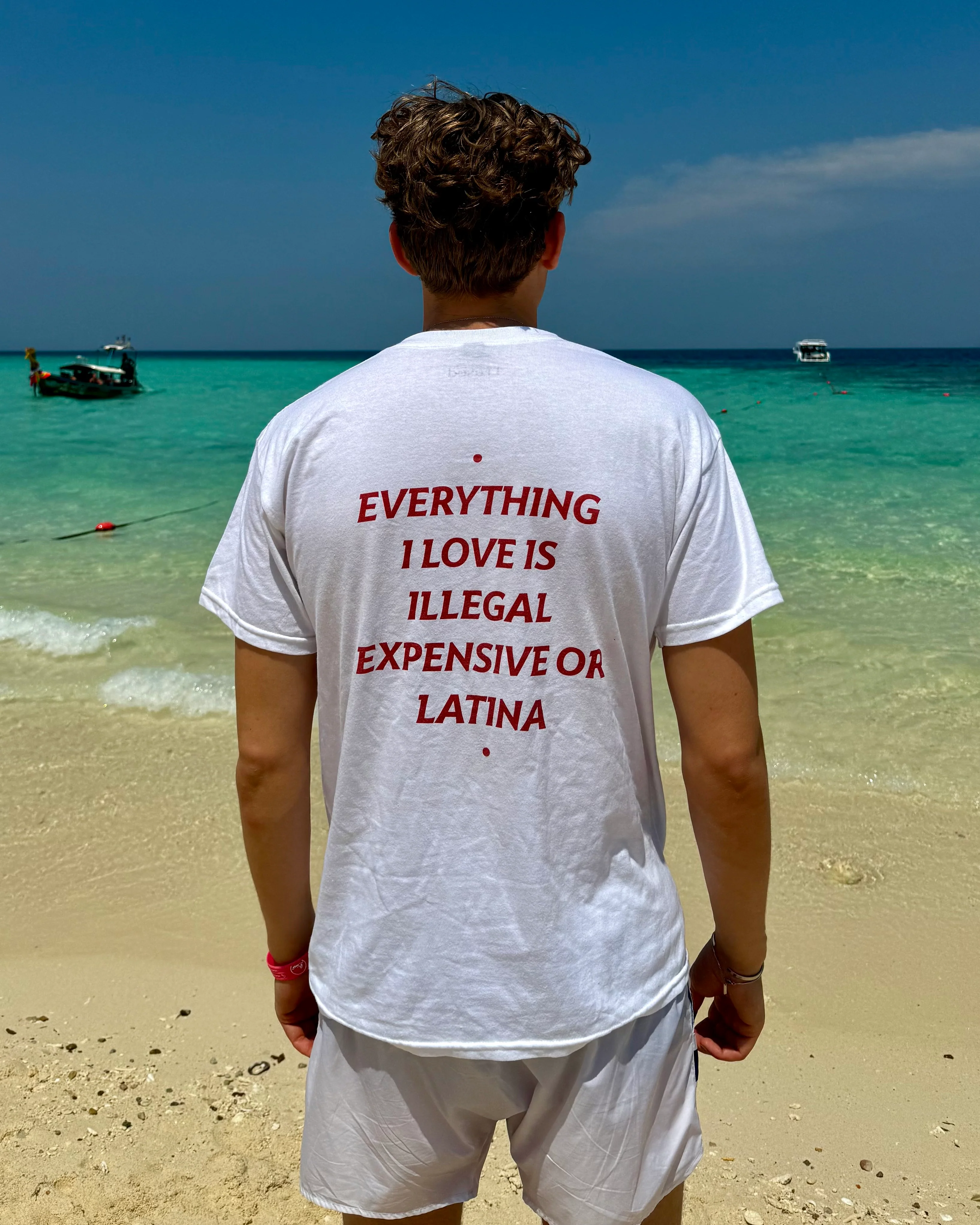 EVERYTHING I LOVE IS ILLEGAL, EXPENSIVE OR LATINA - Image 3