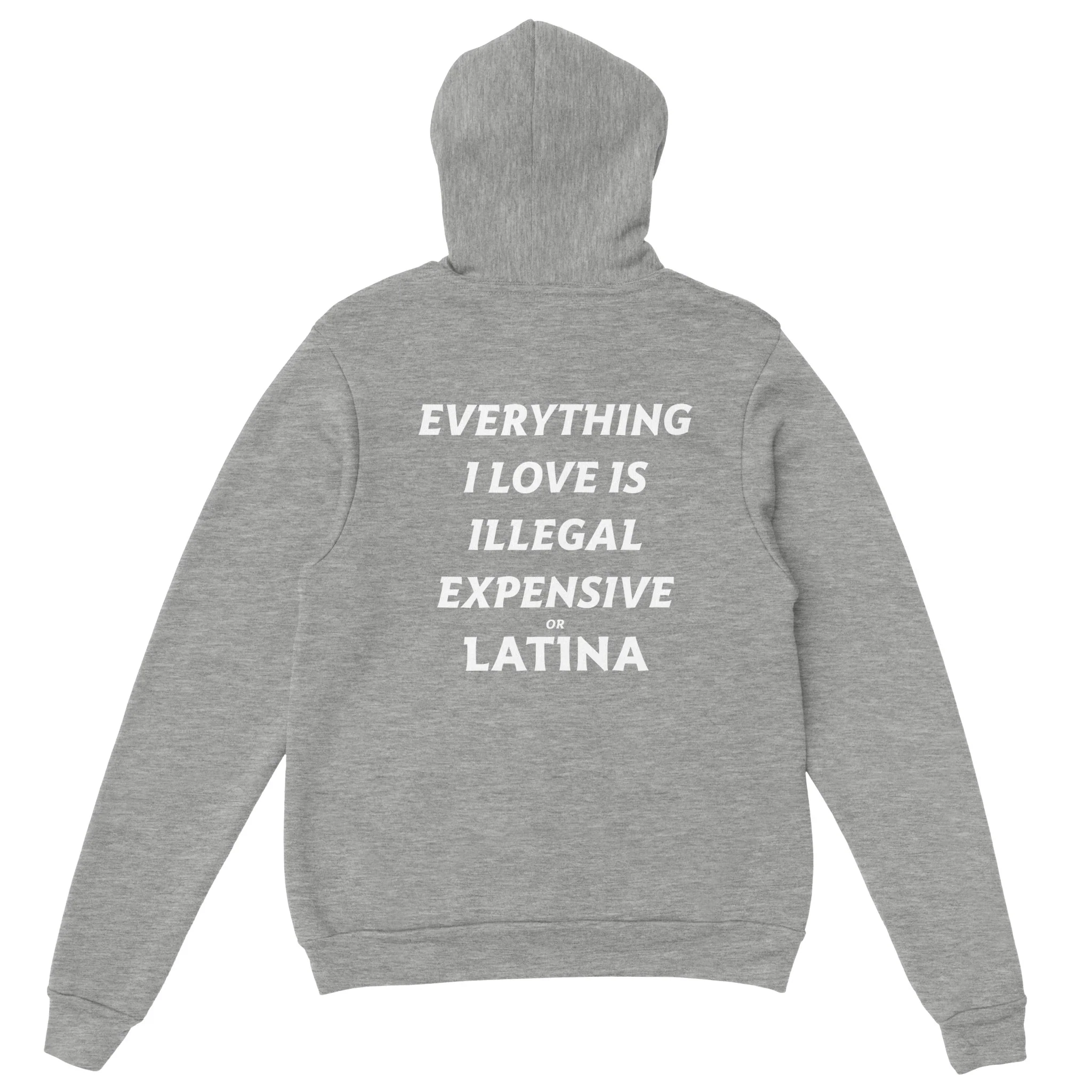 EVERYTHING I LOVE IS ILLEGAL EXPENSIVE OR LATINA - HOODIE - Image 3